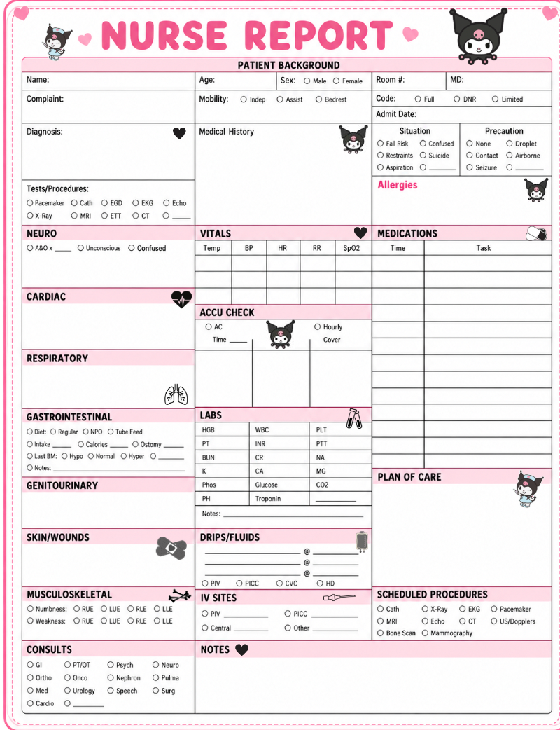 Kuromi Cozy Report Sheet