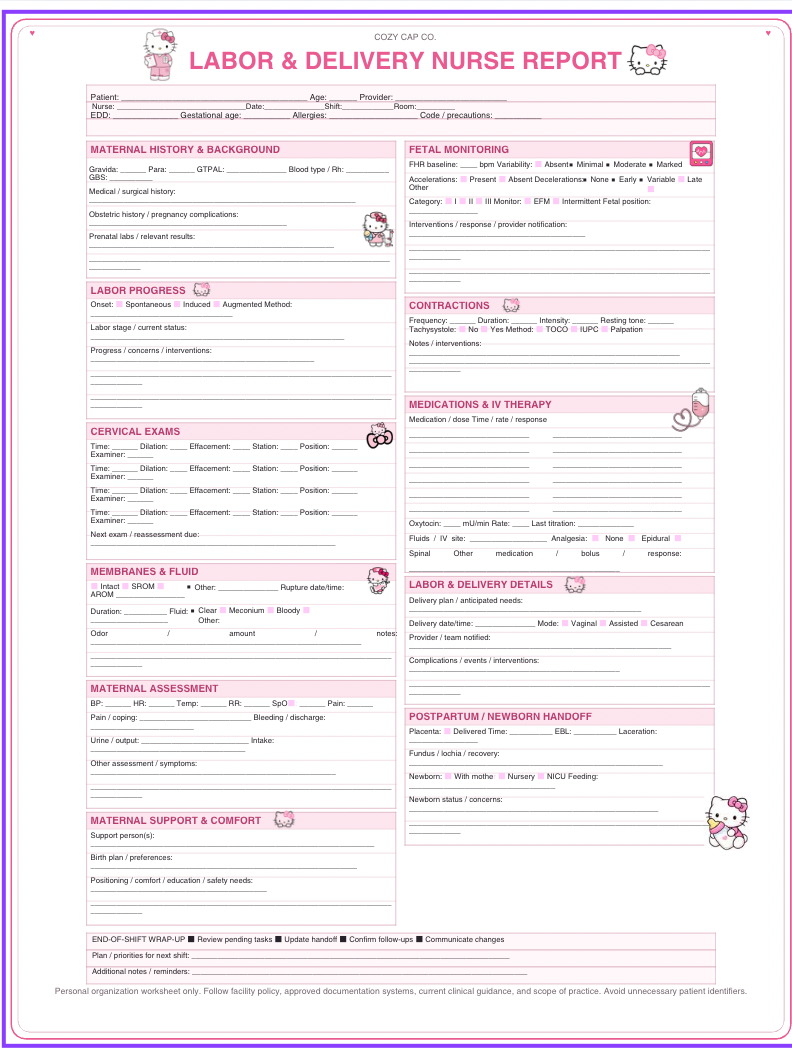 Labor & Delivery HK Cozy Report Sheet